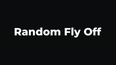 Random Fly Off — After Effects animate out preset preview