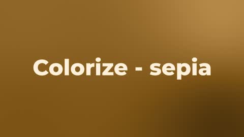 Colorize - sepia — After Effects creative preset preview