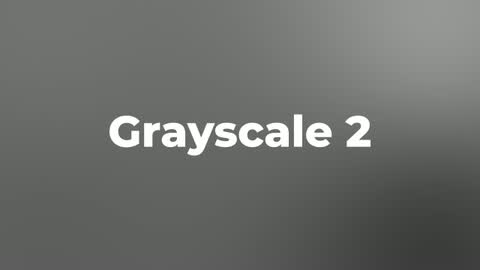 Grayscale 2 — After Effects creative preset preview