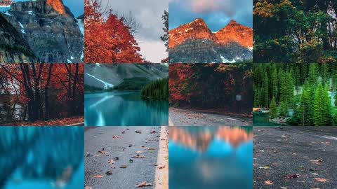 Checker Wipe — Premiere Pro video transition preview