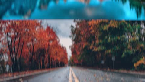 Roll — Premiere Pro video transition preview