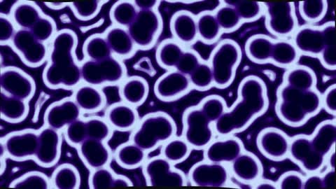 Cells — After Effects synthetics preset preview