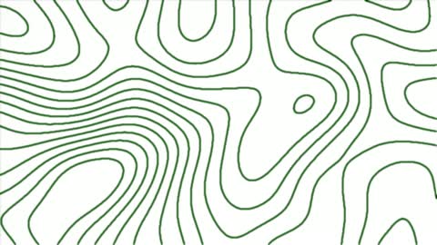Topographic Lines — After Effects synthetics preset preview
